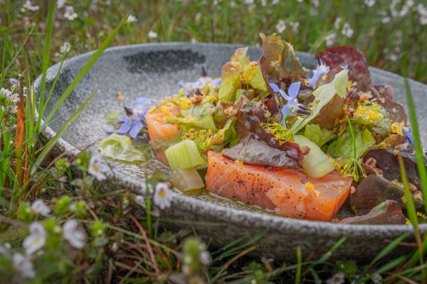 Lørdagsbistro med 3-retters bistromeny